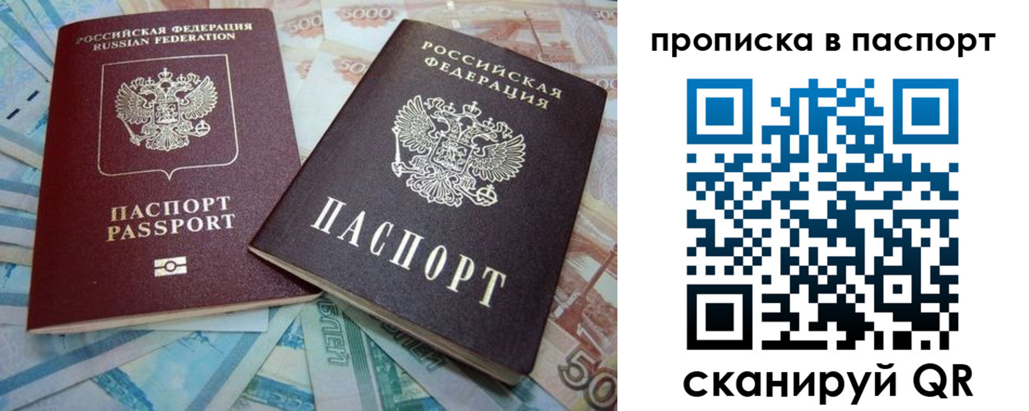 прописка поиск в Сальске
